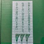 下仁田ねぎ（青箱）