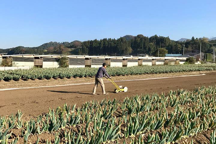 ⓪ 10月：種まき