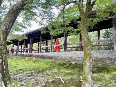 東福寺