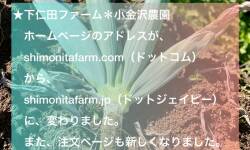 ホームページアドレスが shimonitafarm.jp になりました