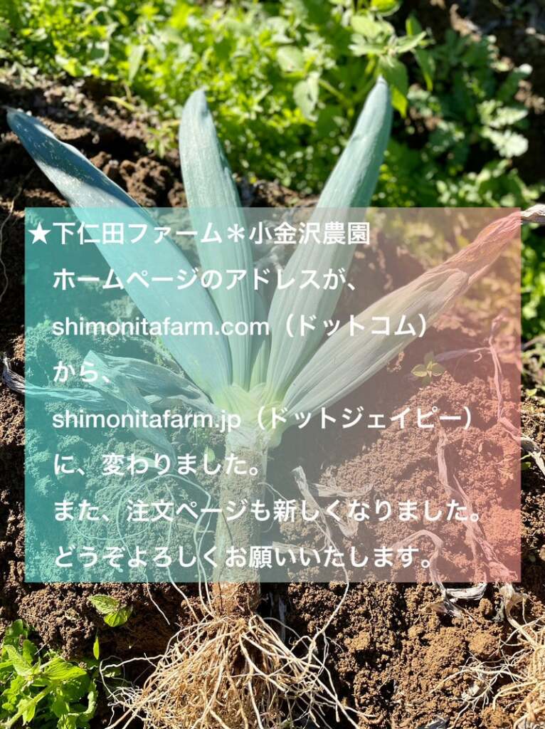 ホームページアドレスが shimonitafarm.jp になりました